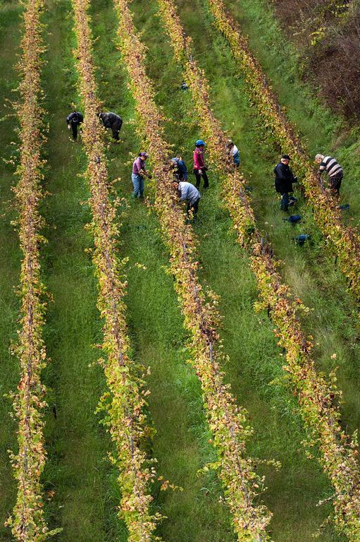 Wine Resort Villagrande Milo Bagian luar foto