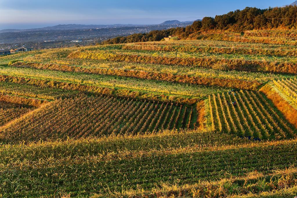 Wine Resort Villagrande Milo Bagian luar foto