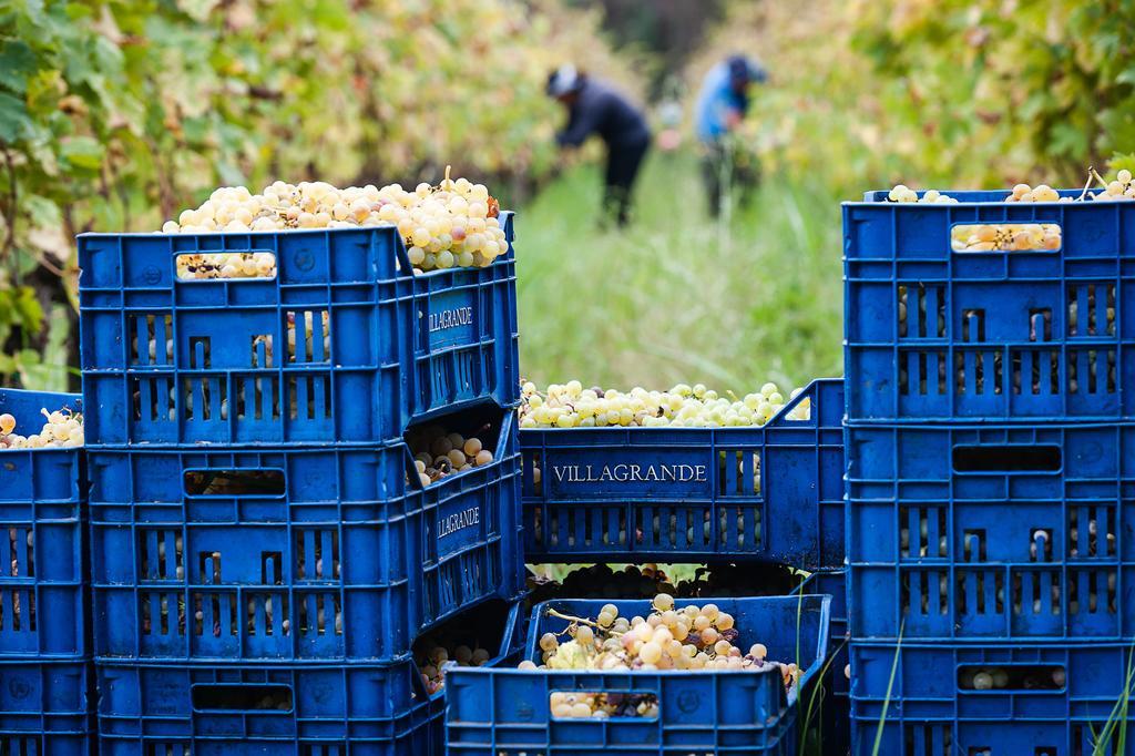 Wine Resort Villagrande Milo Bagian luar foto