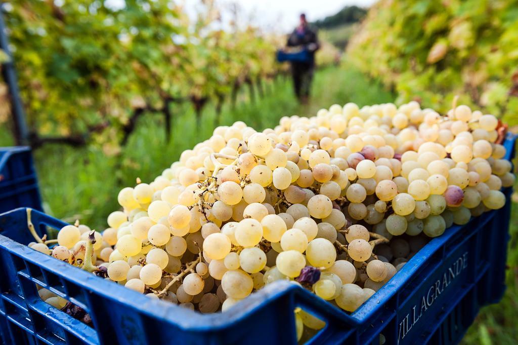 Wine Resort Villagrande Milo Bagian luar foto