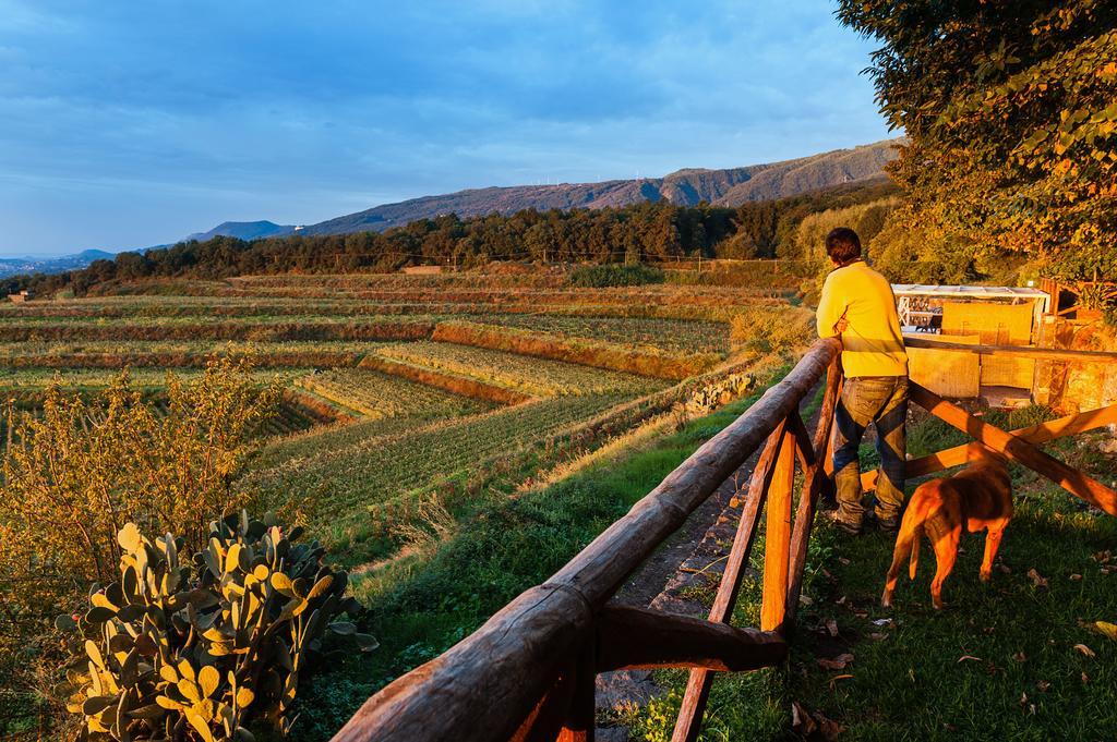 Wine Resort Villagrande Milo Bagian luar foto